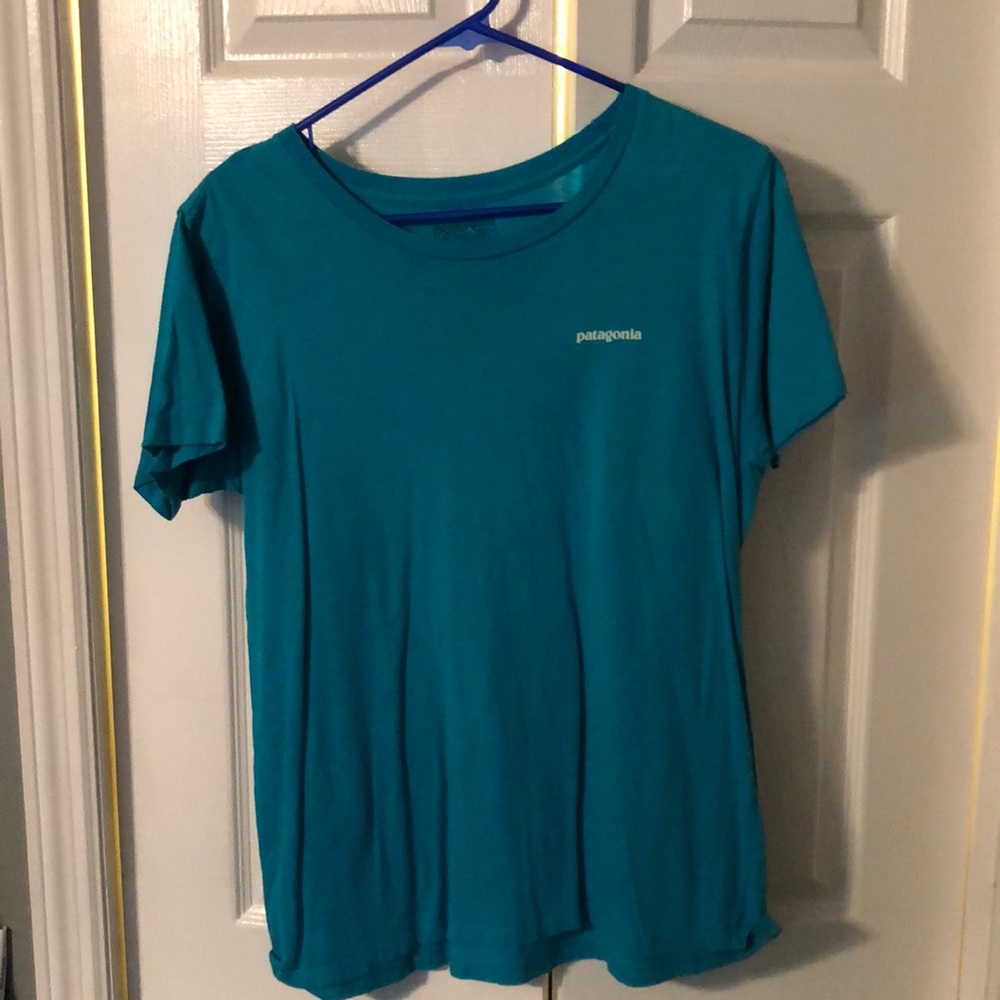 patagonia t-shirt